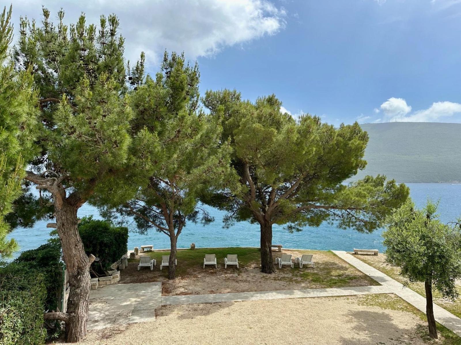 Apartmani Danilovic Herceg Novi Exteriör bild