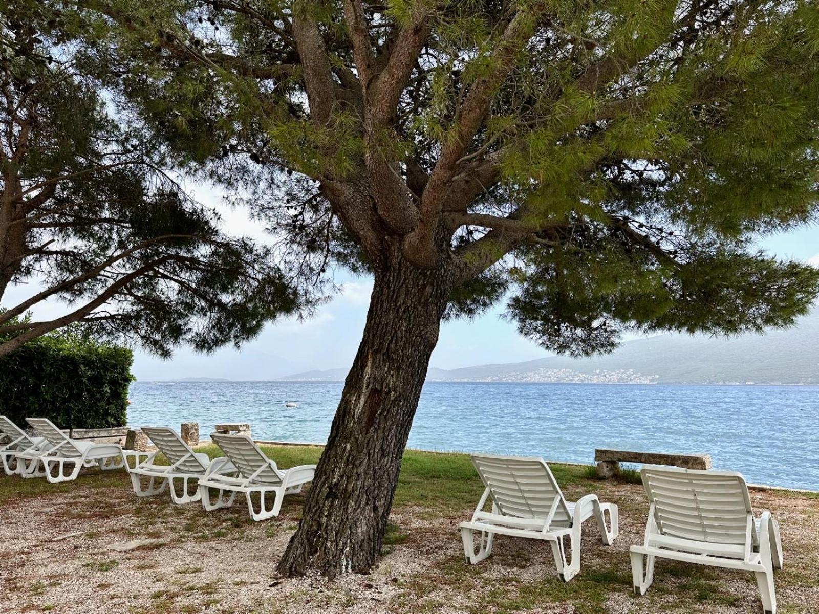 Apartmani Danilovic Herceg Novi Exteriör bild
