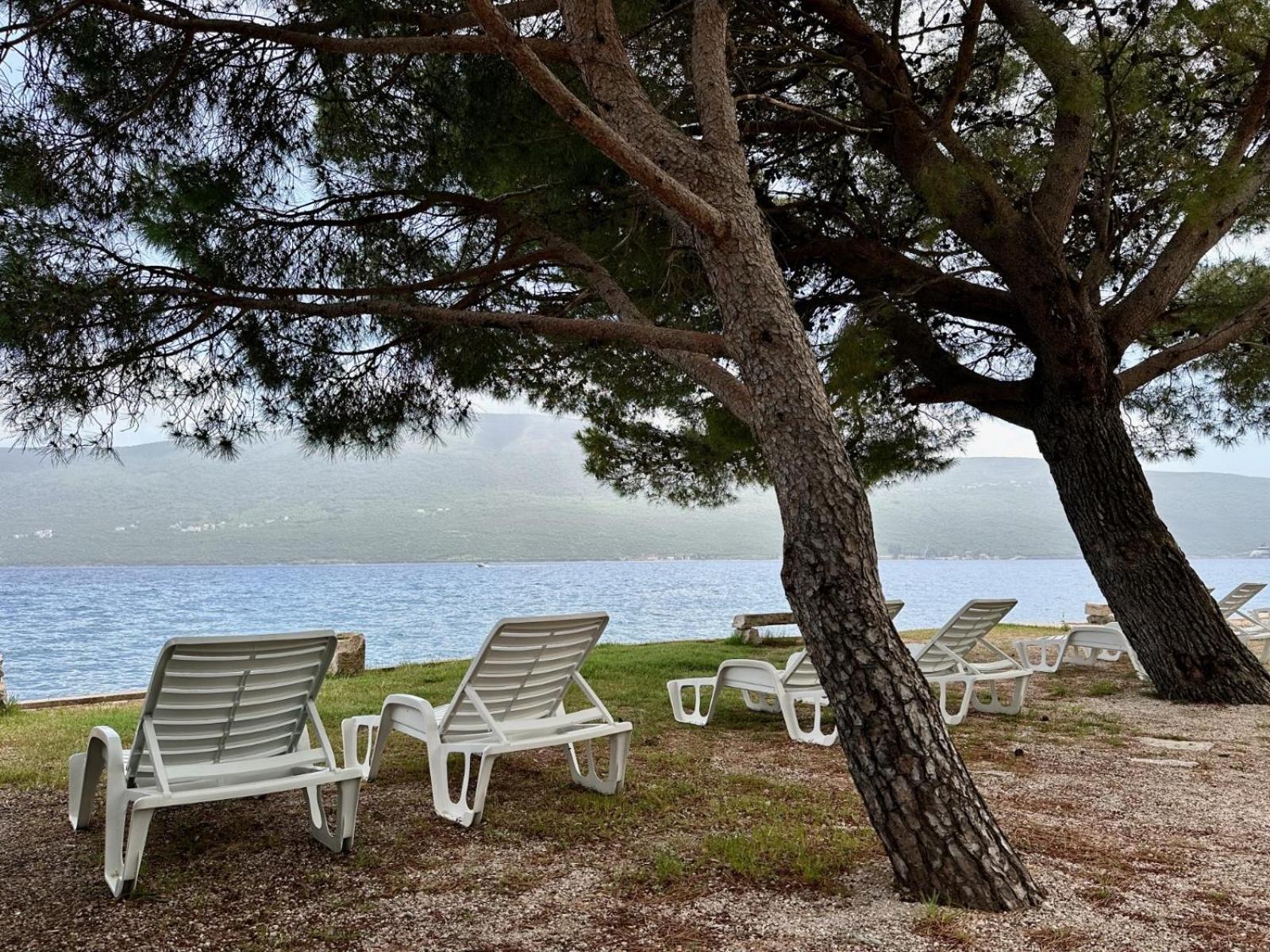 Apartmani Danilovic Herceg Novi Exteriör bild